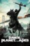 Nonton Dawn of the Planet of the Apes (2014) Sub Indo HD - Rebahin-LK21