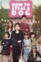 Nonton How to Steal a Dog (2014) Sub Indo HD - Rebahin-LK21