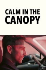 Nonton Film Calm in the Canopy Sub Indo