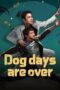 Nonton Film Dog days are over Sub Indo