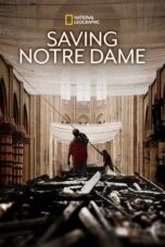 Nonton Film Saving Notre Dame Sub Indo