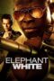 Nonton Film Elephant White Sub Indo Nonton Film Elephant White Sub Indo