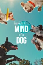 Nonton Film Inside the Mind of a Dog Sub Indo