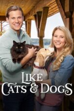 Nonton Film Like Cats & Dogs Sub Indo