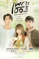 Nonton Film A Love So Beautiful Sub Indo