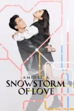 Nonton Film Amidst a Snowstorm of Love Sub Indo
