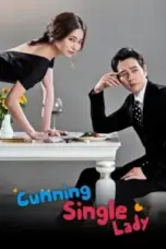 Nonton Film Cunning Single Lady Sub Indo