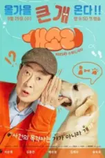 Nonton Film Dog Knows Everything Sub Indo