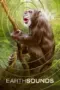 Nonton Film Earthsounds Sub Indo