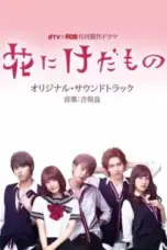 Nonton Film Hana ni Kedamono (Flower and the Beast) Season 1-2 (2017-2019) Sub Indo