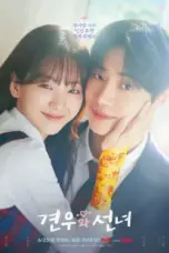 Nonton Film Head Over Heels Sub Indo