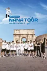 Nonton Film NANA TOUR with SEVENTEEN Sub Indo