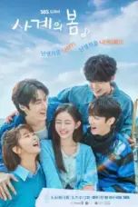 Nonton Film Spring of Youth Sub Indo