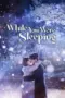 Nonton Film While You Were Sleeping Sub Indo