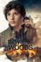 Nonton Film The Boy in the Woods Sub Indo