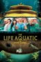 Nonton Film The Life Aquatic with Steve Zissou Sub Indo Nonton Film The Life Aquatic with Steve Zissou Sub Indo