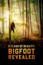 Nonton Film A Flash of Beauty: Bigfoot Revealed Sub Indo
