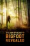Nonton Film A Flash of Beauty: Bigfoot Revealed Sub Indo