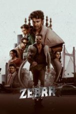 Nonton Film Zebra Sub Indo