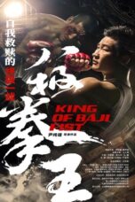 Nonton Film King of Baji Fist Sub Indo