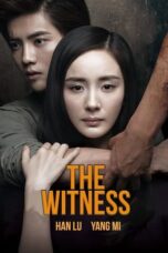 Nonton Film The Witness Sub Indo