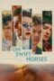 Nonton Film On Swift Horses Sub Indo Nonton Film On Swift Horses Sub Indo