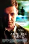 Nonton Film A Beautiful Mind Sub Indo