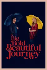Nonton Film A Big Bold Beautiful Journey Sub Indo