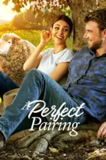 Nonton Film A Perfect Pairing Sub Indo
