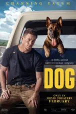 Nonton Film Dog Sub Indo