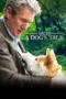 Nonton Film Hachi: A Dog’s Tale Sub Indo