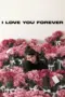 Nonton Film I Love You Forever Sub Indo Nonton Film I Love You Forever Sub Indo