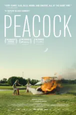 Nonton Film Peacock Sub Indo