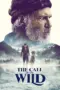 Nonton Film The Call of the Wild Sub Indo