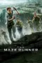 Nonton Film The Maze Runner Sub Indo Nonton Film The Maze Runner Sub Indo