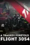 Nonton Film A Tragedy Foretold: Flight 3054 Sub Indo