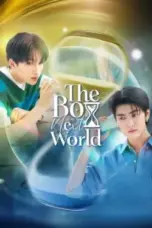 Nonton Film The Boy Next World Sub Indo