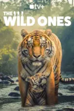 Nonton Film The Wild Ones Sub Indo