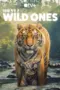 Nonton Film The Wild Ones Sub Indo
