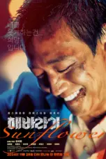 Nonton Film Sunflower Sub Indo
