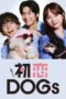 Nonton Film Hatsukoi Dogs Sub Indo Nonton Film Hatsukoi Dogs Sub Indo