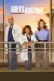 Nonton Film Grey’s Anatomy Season 22 Sub Indo
