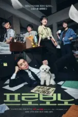 Nonton Film Pro Bono Sub Indo