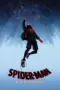 Nonton Film Spider-Man: Into the Spider-Verse Sub Indo