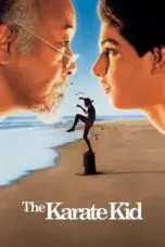 Nonton Film The Karate Kid Sub Indo