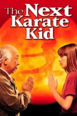 Nonton Film The Next Karate Kid Sub Indo