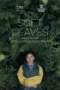 Nonton Film Soft Leaves Sub Indo Nonton Film Soft Leaves Sub Indo