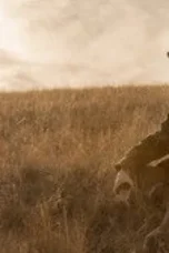 Nonton Film The Madison Season 1 Episode 2 Sub Indo