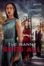 Nonton Film The Nanny Sees All Sub Indo